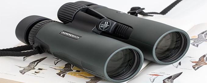 Best Compact Binoculars Under $100